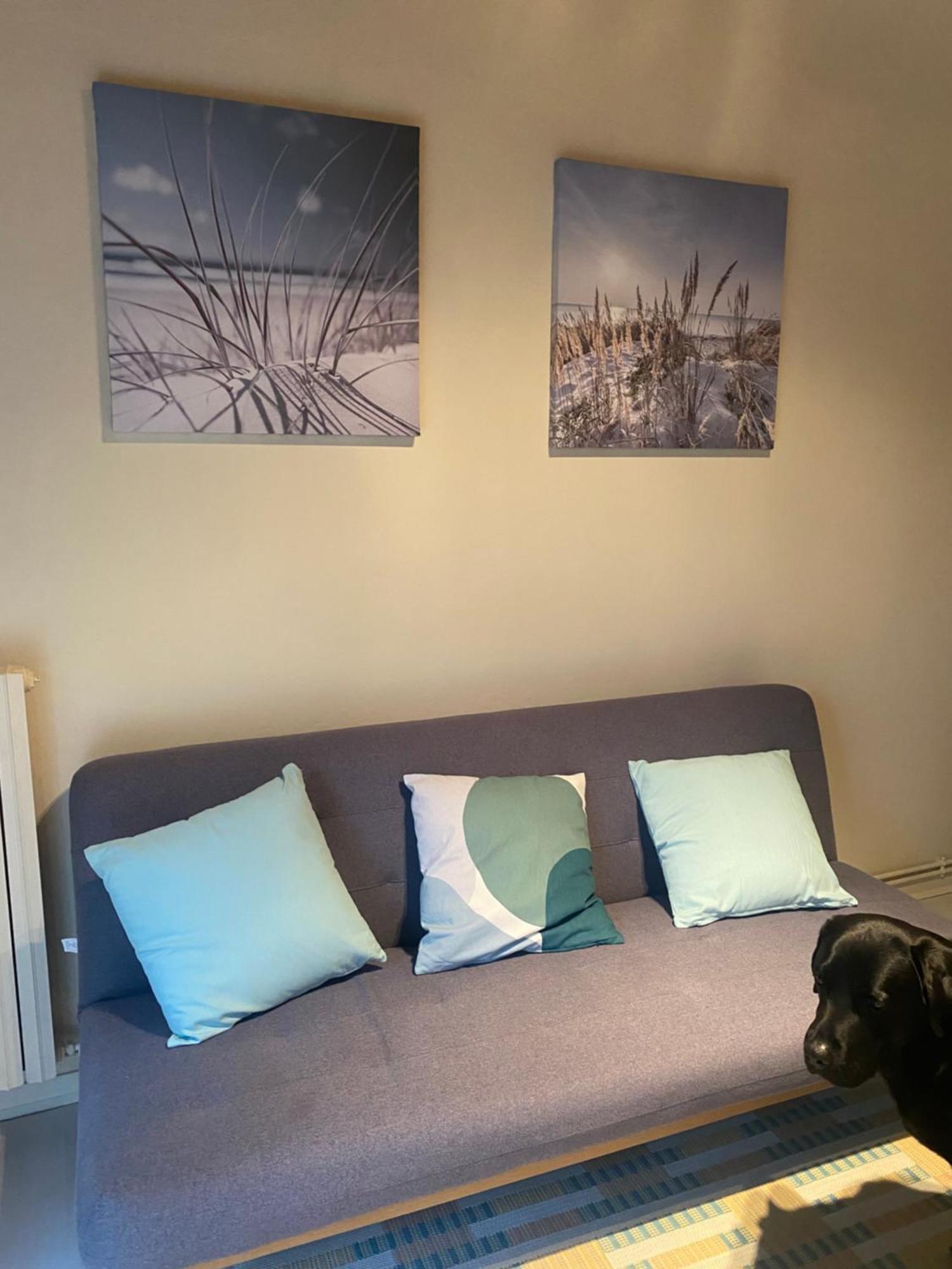 Appartement Avec Jardin Le Porge Exterior foto