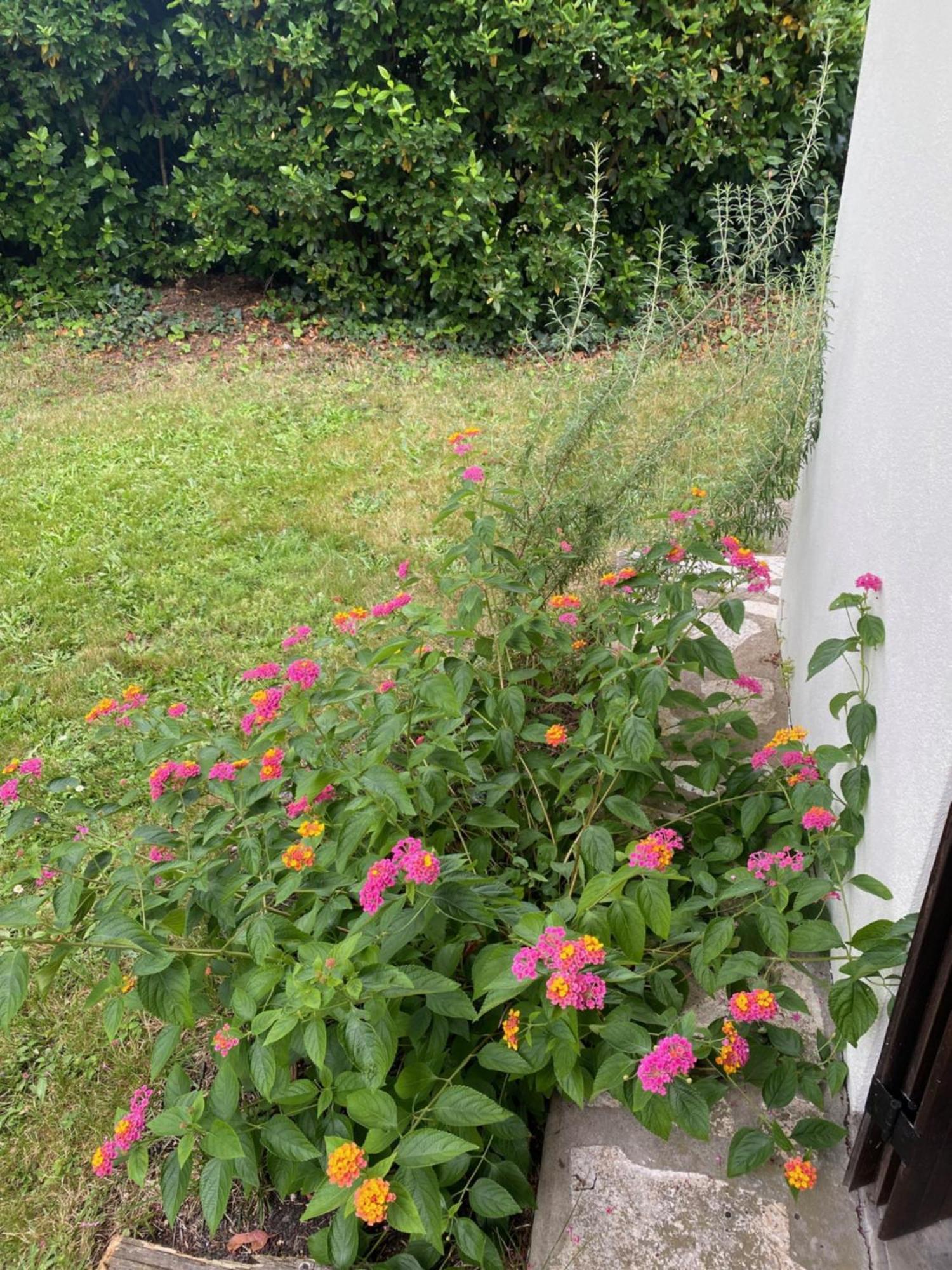 Appartement Avec Jardin Le Porge Exterior foto